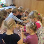 phoca_thumb_m_krteci pernky 10 Fotogalerie